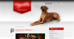 Desktop Screenshot of magmabona.com
